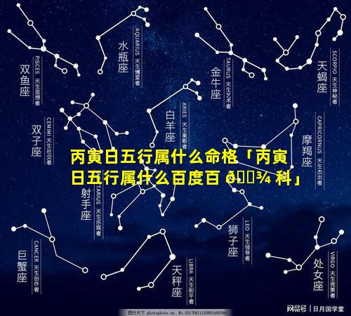 丙寅日五行属什么命格「丙寅日五行属什么百度百 🌾 科」